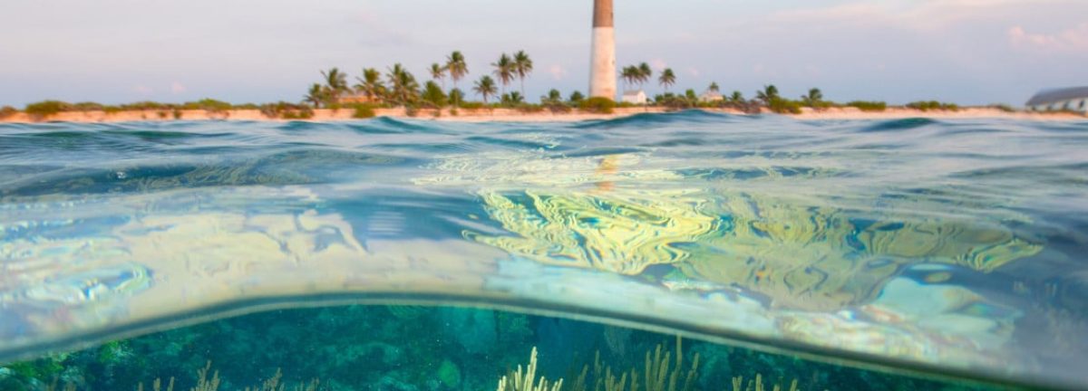 Florida reef photograph by Carlton Ward Jr. from The Wild Path exhibition