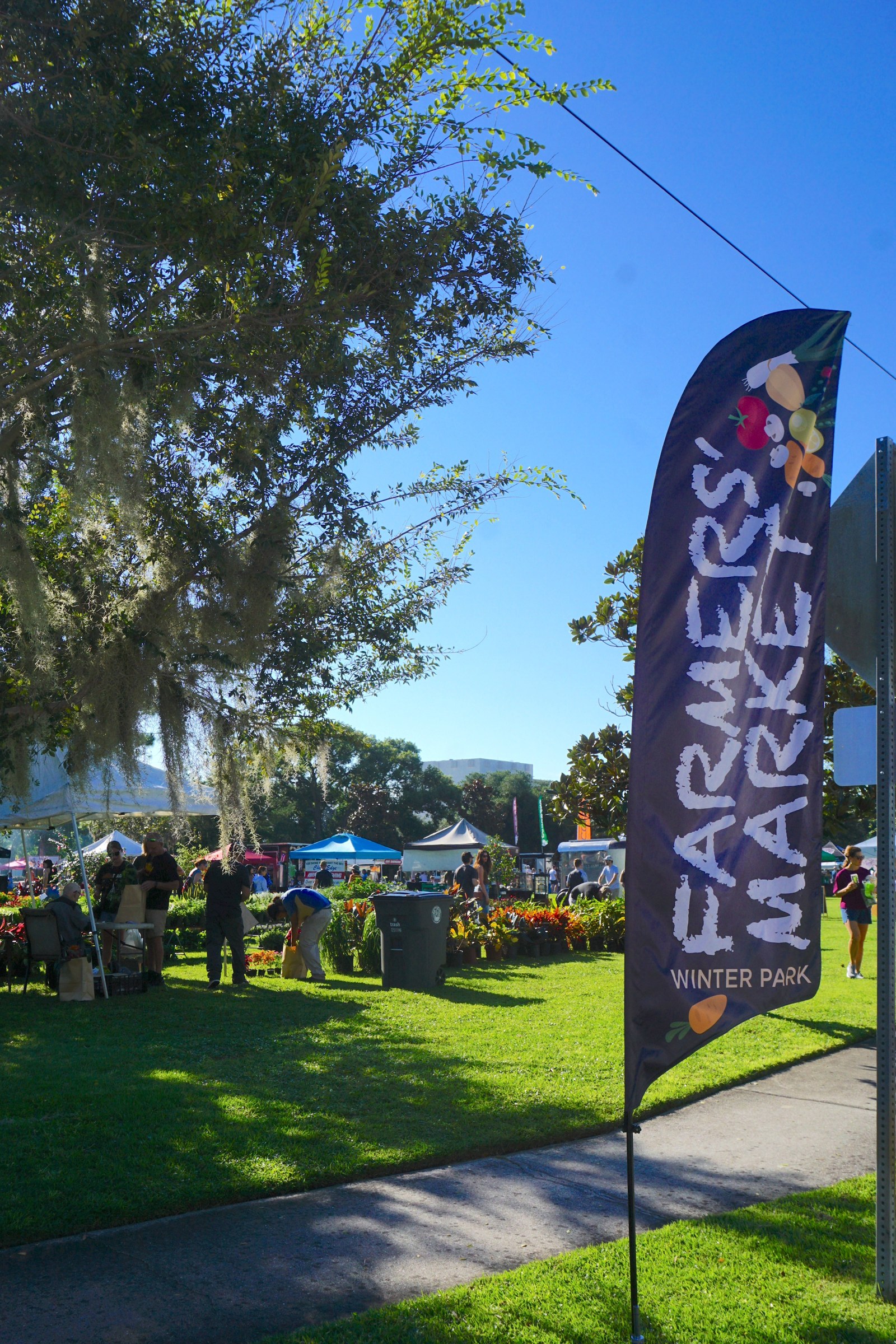 Shoppers browsing produce and flower stalls under oak trees at the Winter Park Saturday farmers market